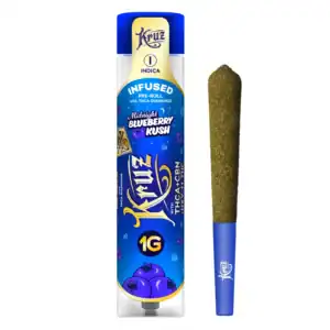 Blueberry Kush [1g]-RYTHM